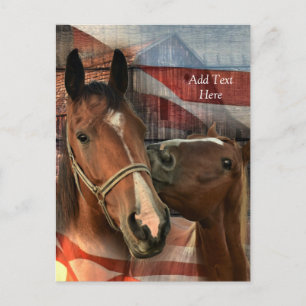 Horse Rustic Barn American Flag Postcard