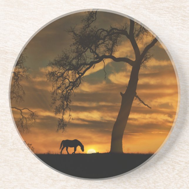 Horse Sandstone Coasters (Front)