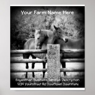 Horse Services Advertisement Poster