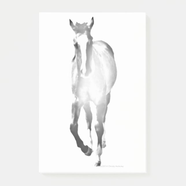 Horse Shadow Post-it Notes (Front)