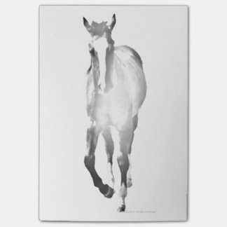Horse Shadow Post-it Notes