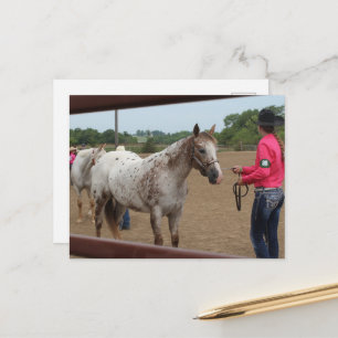 Horse Show Showmanship Spotted Pony of America Postcard