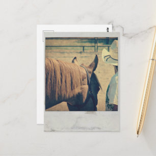 Horse Show Showmanship Vintage Photo Postcard