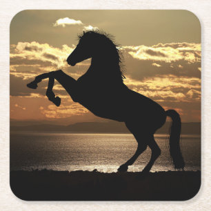 Horse Silhouette Against the Sunset Square Paper Coaster
