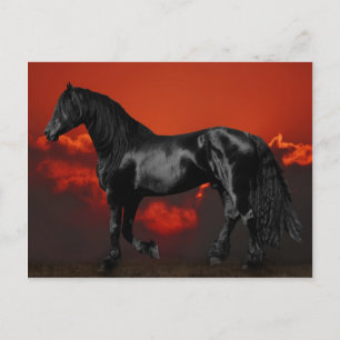 Horse silhouette at sunset postcard