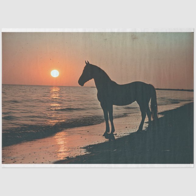 Horse Silhouette Sunset by the Ocean Decoupage Tissue Paper (Front)