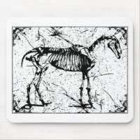 Horse Skeleton black and white
