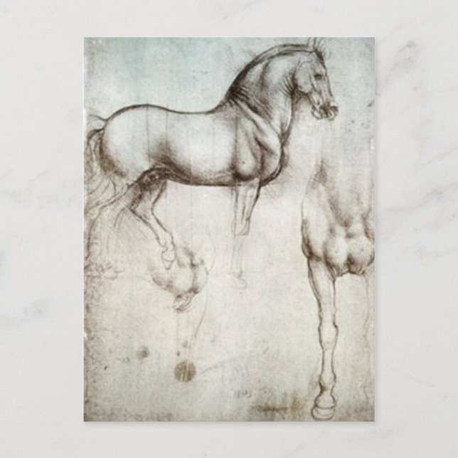 Horse Sketch Postcard (Front)