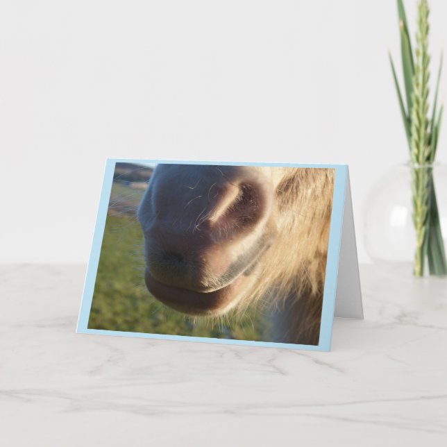 Horse smile Card (Front)