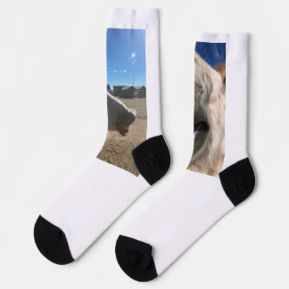 Horse Smiles Socks