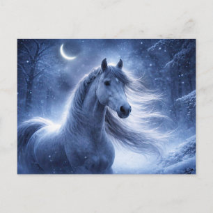 Horse Snow Christmas Night Yule Holiday Postcard