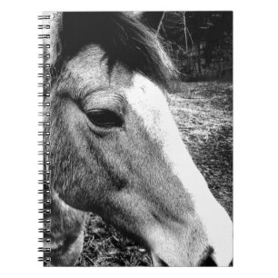 Horse Spiral Notebook