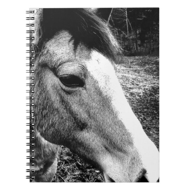 Horse Spiral Notebook (Front)