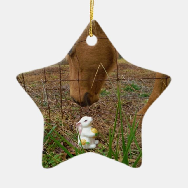 horse & Spring flower Bunny Ceramic Tree Decoration (Front)