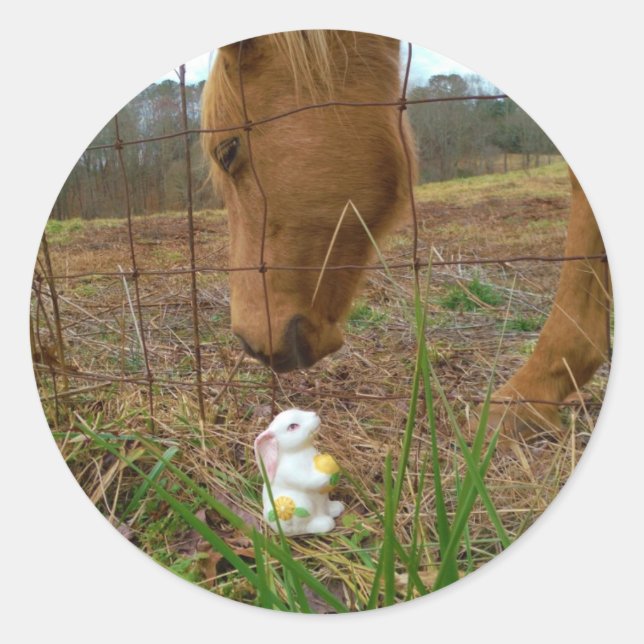 horse & Spring flower Bunny Classic Round Sticker (Front)