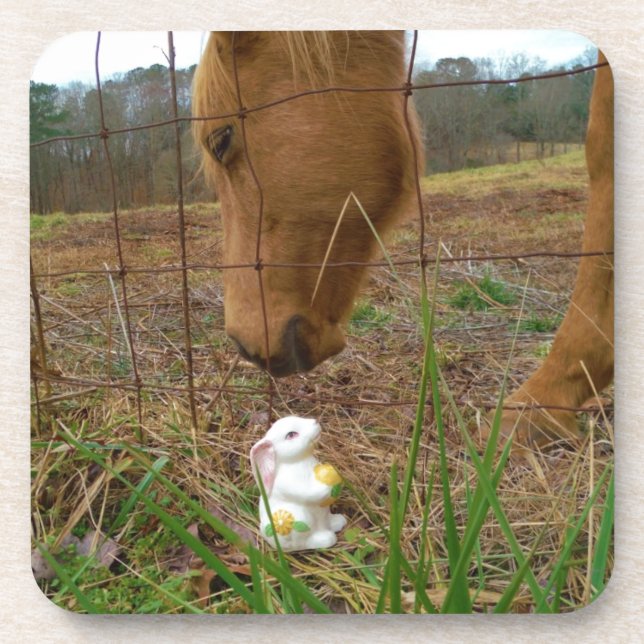 horse & Spring flower Bunny Coaster (Front)