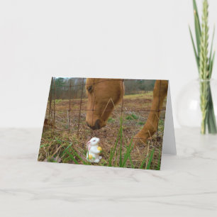 horse & Spring flower Bunny Holiday Card