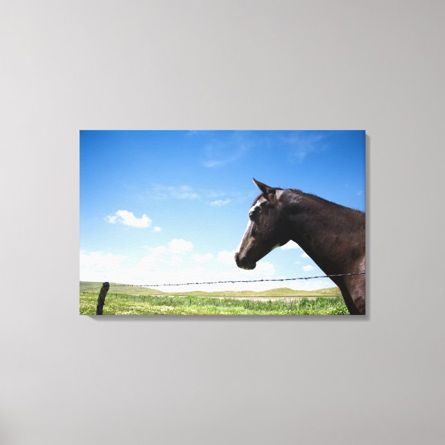 Horse standing at fence in pasture canvas print (Front)
