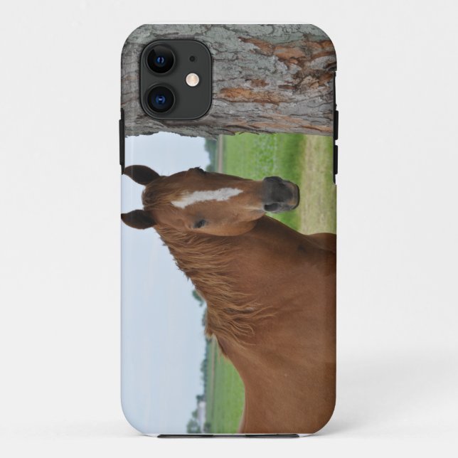 Horse Standing By Tree Case (Back)
