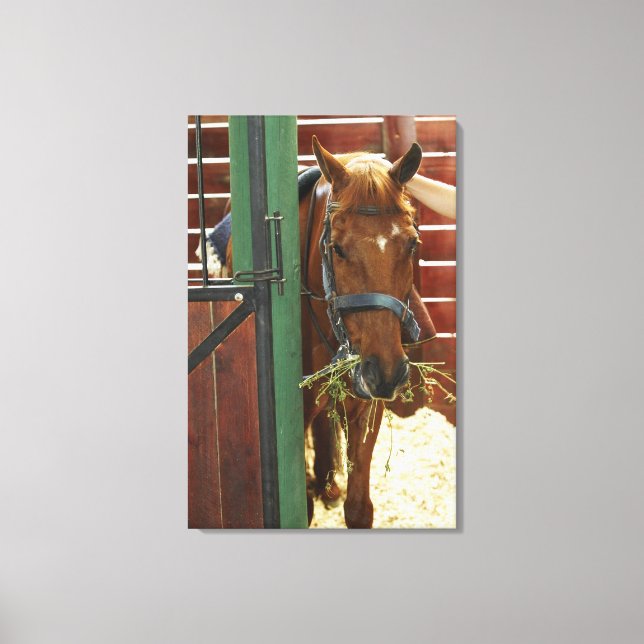Horse standing in a stable canvas print (Front)