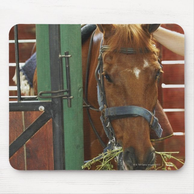 Horse standing in a stable mouse pad (Front)
