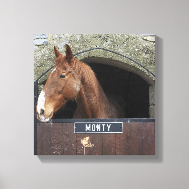 Horse standing looking out of its stable canvas print (Front)