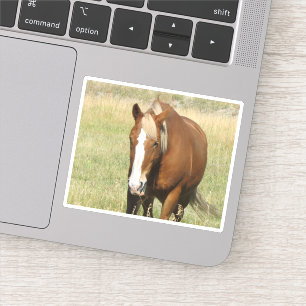 Horse Sticker