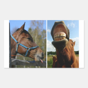 Horse stickers