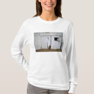 Horse Sticking Head out Barn Window T-Shirt