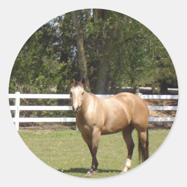 Horse sticks classic round sticker (Front)