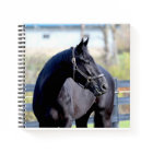 Horse & Sunrise at the lake Notebook