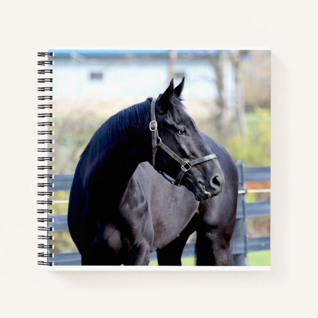 Horse & Sunrise at the lake Notebook (Front)
