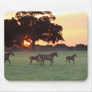 Horse Sunset Art Mousepad