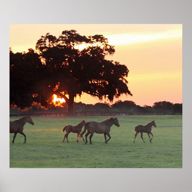Horse Sunset Art Print -24x20 -click for smaller (Front)