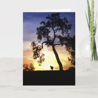 Horse Sympathy Card