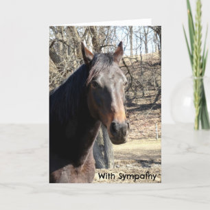 Horse Sympathy Card