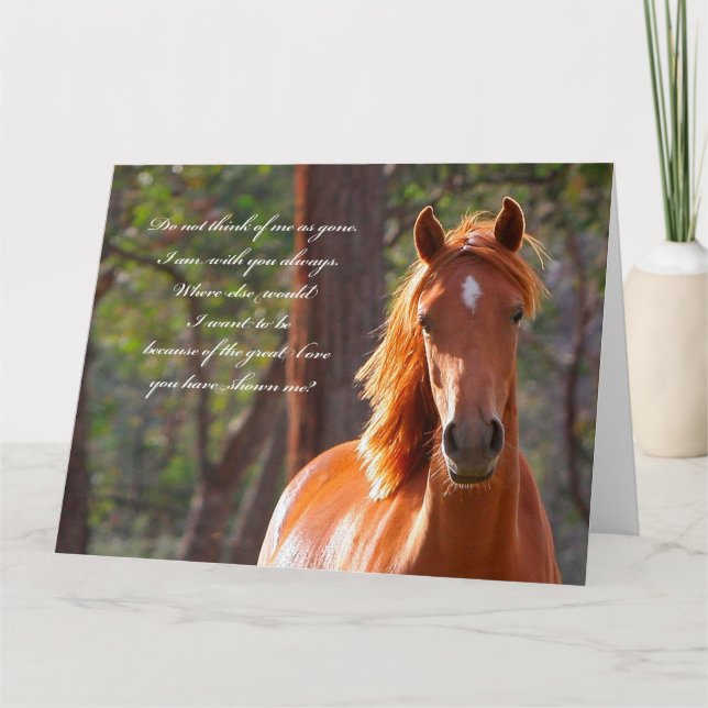 Horse Sympathy Card (Front)
