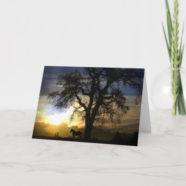 Horse Sympathy Card (Front)