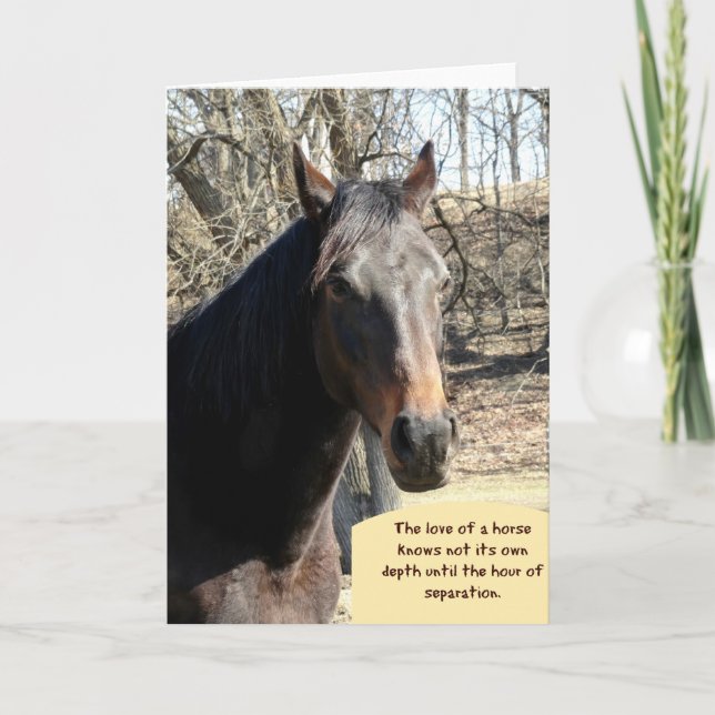 Horse Sympathy Card with Quote (Front)