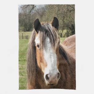 HORSE TEA TOWEL