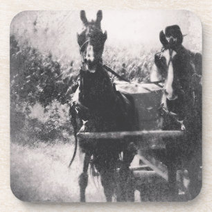 Horse Team #horse #amish Coaster