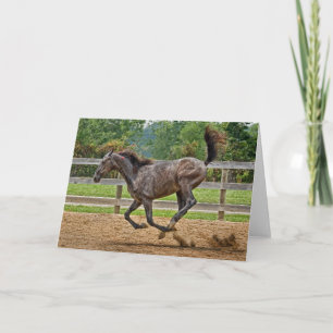 Horse Tennessee Walker Filly Card