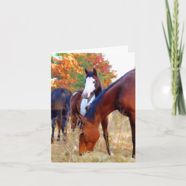 Horse Thank You Note Cards (Front)