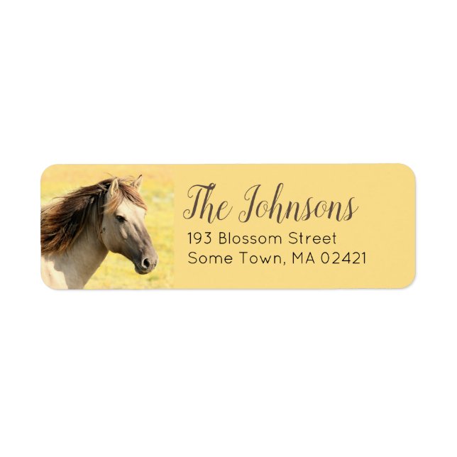Horse Themed Return Address  (Front)