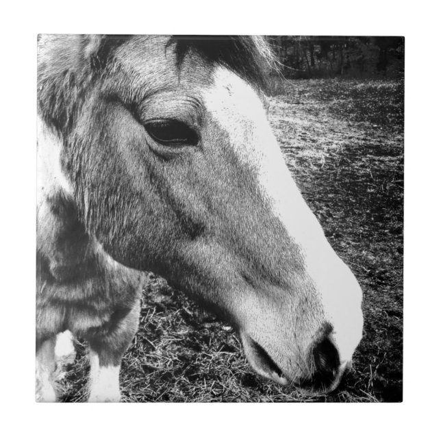 Horse Tile (Front)