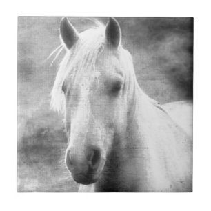 Horse Tile