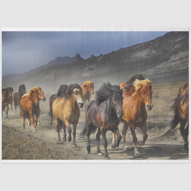 horse trail tissue paper (Front)