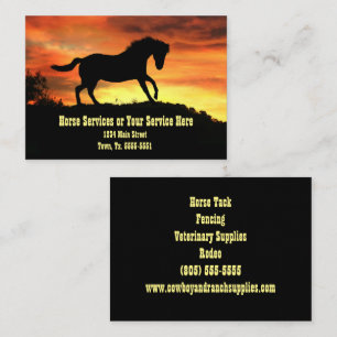 Horse Training Supplies Service Lessons Business C Business Card