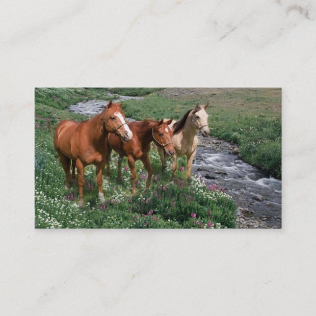 Horse Trio Business Card (Front)