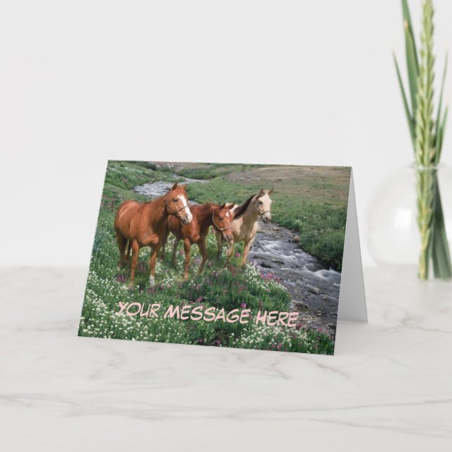 Horse Trio Greeting Card (Front)